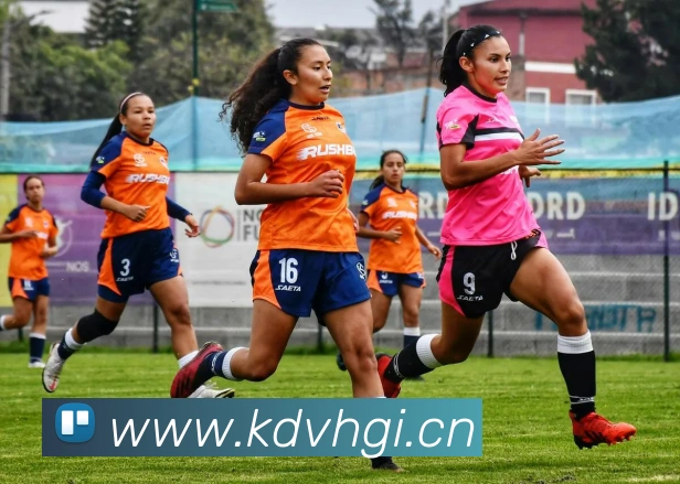 半岛官网网页版入口发展历程